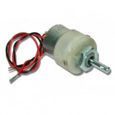 DC Motor - 300 RPM