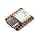 Seeeduino XIAO - Arduino Microcontroller - SAMD21 Cortex M0+