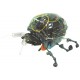 LadyBug robot Kit